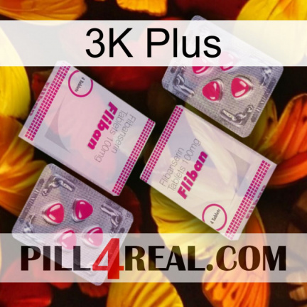 3K Plus 33